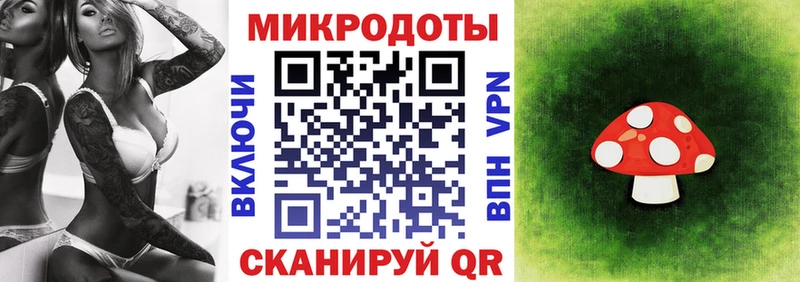 купить закладку  Прохладный  Галлюциногенные грибы GOLDEN TEACHER 