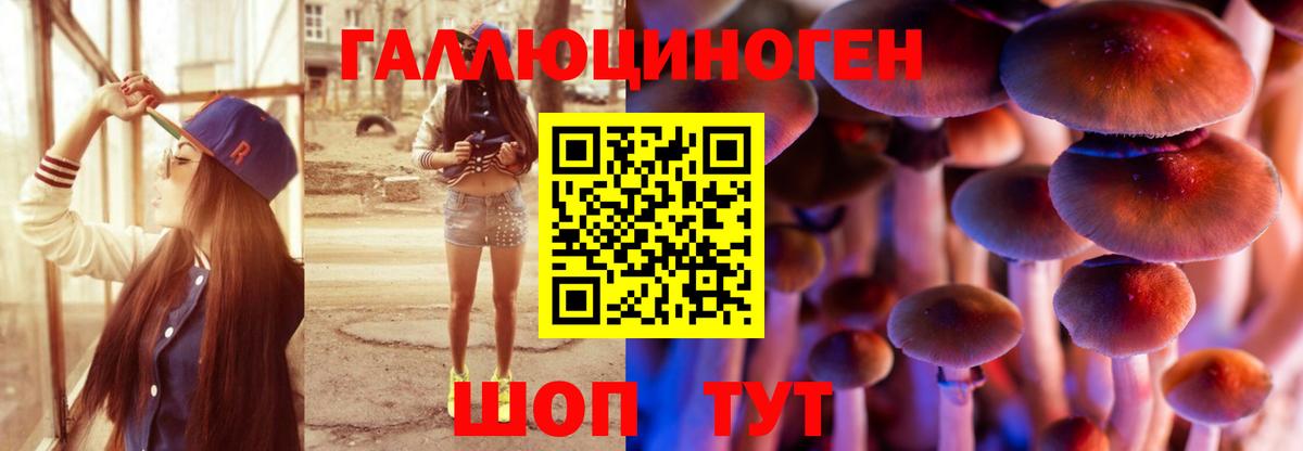 Галлюциногенные грибы мицелий Прохладный